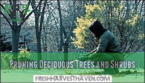pruning deciduous trees and shrubs