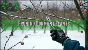 pruning dormant plants