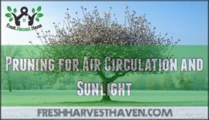 pruning for air circulation and sunlight