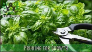 pruning for growth