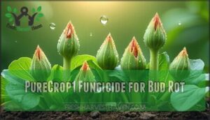 purecrop1 fungicide for bud rot