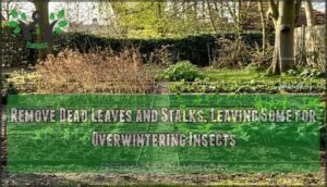remove dead leaves and stalks, leaving some for overwintering insects