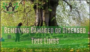 removing damaged or diseased tree limbs