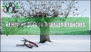 removing dead or diseased branches