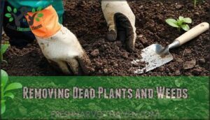 removing dead plants and weeds