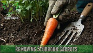 removing stubborn carrots