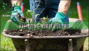 removing winter debris