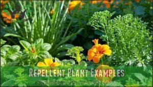 repellent plant examples