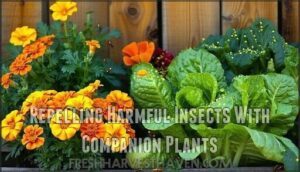 repelling harmful insects with companion plants