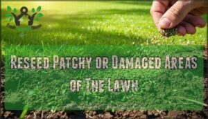 reseed patchy or damaged areas of the lawn