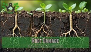 root damage