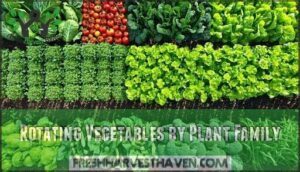 rotating vegetables by plant family