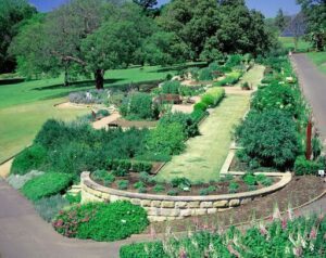 Royal Botanic Garden Sydney