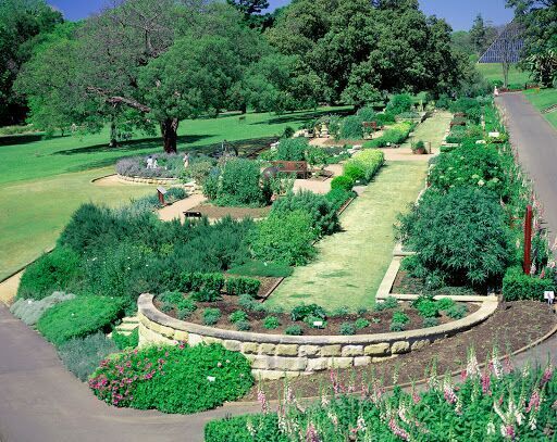 Royal Botanic Garden Sydney
