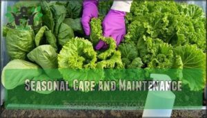 seasonal care and maintenance