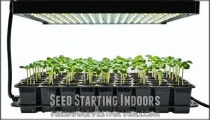 seed starting indoors