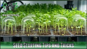seed starting tips and tricks