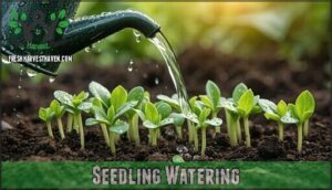 seedling watering