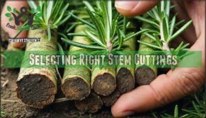 selecting right stem cuttings