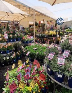 Serenity Garden Centre