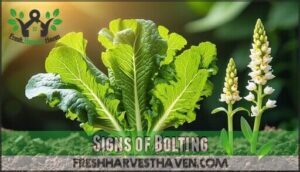 signs of bolting