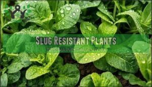 slug resistant plants