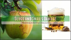 slugs and snails damage