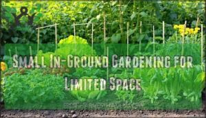 small in-ground gardening for limited space