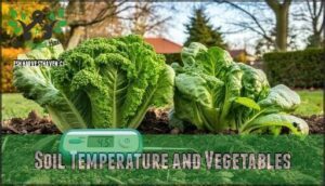 soil temperature and vegetables