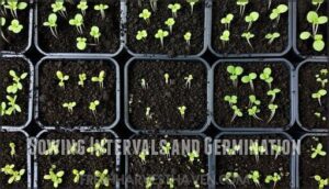 sowing intervals and germination