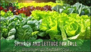 spinach and lettuce for fall