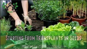starting from transplants or seeds