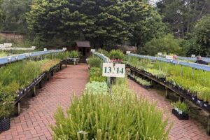 State Flora Nursery