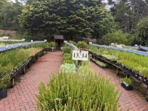 State Flora Nursery