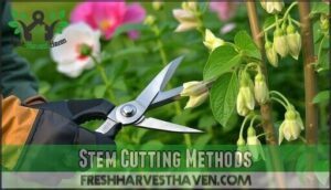 stem cutting methods