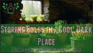 storing bulbs in a cool, dark place