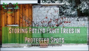 storing potted fruit trees in protected spots