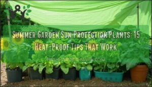 summer garden sun protection plants
