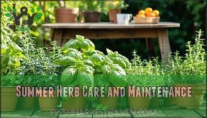summer herb care and maintenance