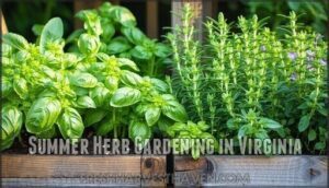 summer herb gardening in virginia