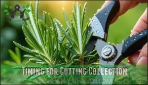 timing for cutting collection