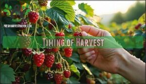 timing of harvest