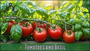 tomatoes and basil