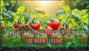 tomatoes and fruit-bearing vegetables for warm seasons