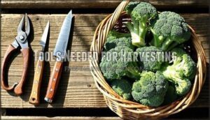tools needed for harvesting