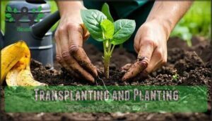 transplanting and planting