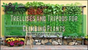 trellises and tripods for climbing plants