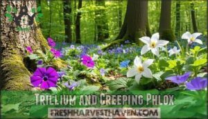 trillium and creeping phlox