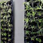 Two black planters with plants in them.