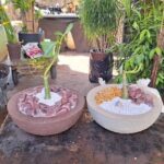 Two large pots filled with rocks and plants are placed on a table.